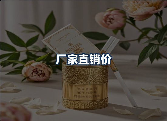 专业团队办公环境